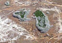 Floryda doświadcza najgorszej suszy od 15 lat, ponieważ wysokie ciśnienie ogranicza opady