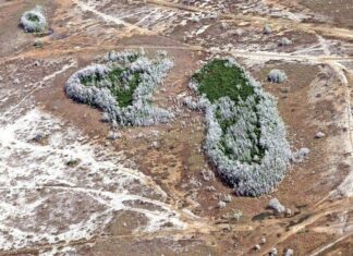Флорида переживає сильну за 15 років посуху через високий тиск, що пригнічує опади