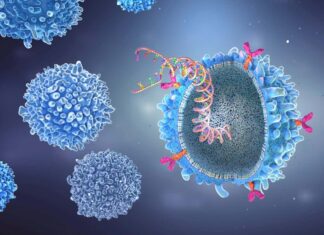 Прорив у лікуванні аутоімунних захворювань: CAR T-клітинна терапія дає нову надію при хронічних недугах