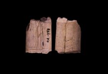 Ancient Bones odhalují překvapivé kořeny hazardu v Severní Americe