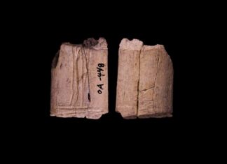 Найстарішим відомим гральним кісткам у світі приблизно 12 000 років