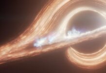 The Birth, Life, And Strange Death of Black Holes