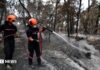 Підліток-пожежний-добровольець став фігурантом справи про пожежу у Фор-де-Блуа