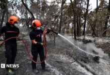 Підліток-пожежний-добровольець став фігурантом справи про пожежу у Фор-де-Блуа