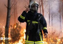 Бордо готується до безпрецедентних пожеж: полум’я наближається