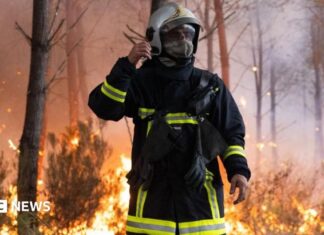 Бордо готується до безпрецедентних пожеж: полум’я наближається