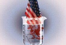 Woke wars, grant cuts: The end of US science?