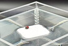 MIT’s breathable hydrogel solves the sweaty sensor problem