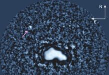 Nysa Asteroid: Evidence for Rare Three-Lobed Trilobate Structure